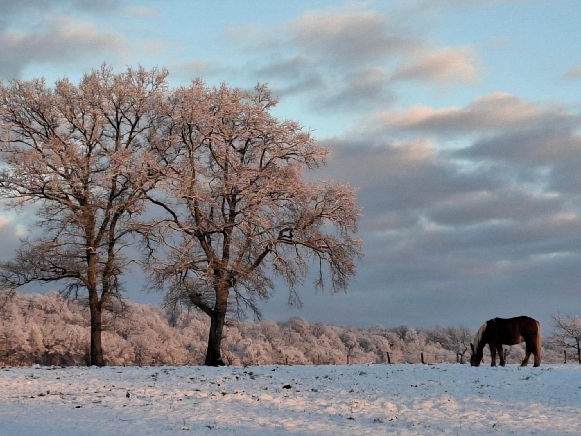 Chambres D'Hotes Sous Les Chenes Gondenans-Montby Luaran gambar